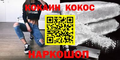 мдпв Кингисепп