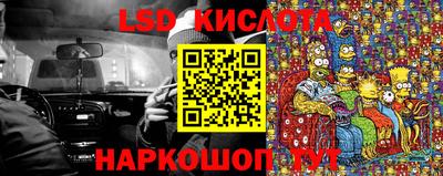 мдпв Кингисепп