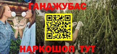 мдпв Кингисепп