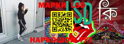 мдпв Кингисепп