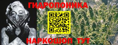 мдпв Кингисепп