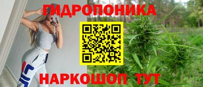 мдпв Кингисепп