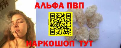 мдпв Кингисепп