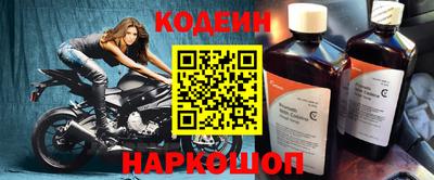 мдпв Кингисепп